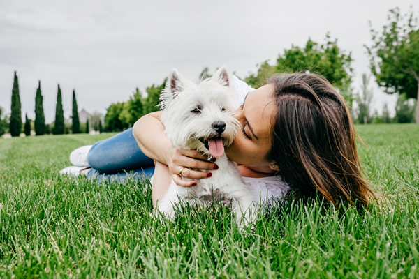 image for The Luck of the Chip: Heartwarming Tales of Pets Reunited with Their Owners